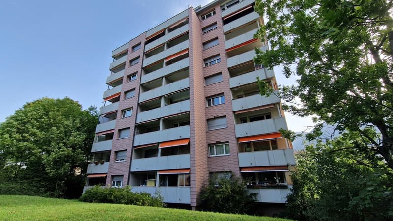 Charmante 1.5-Zimmer-Wohnung mit Balkon und Bergblick in Glarus Nord (1)
