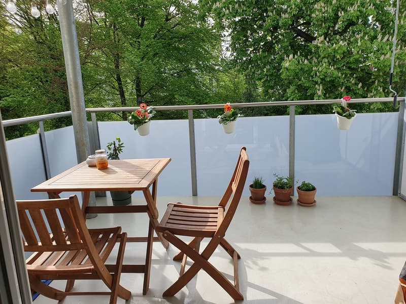 2-Zimmer-Wohnung mit Balkon in Aarau (7)