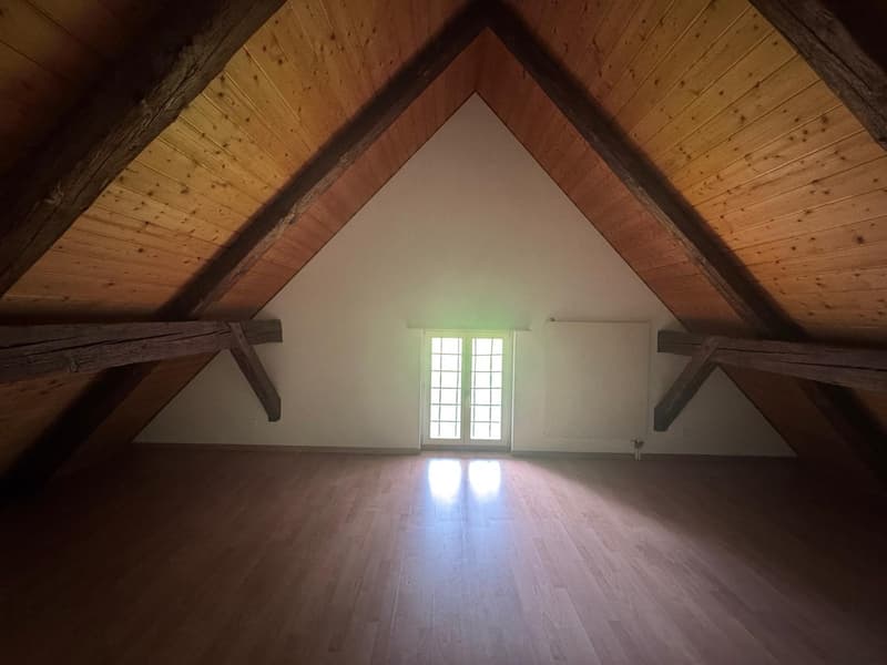 Maisonette-Wohnung im Grünen (10)