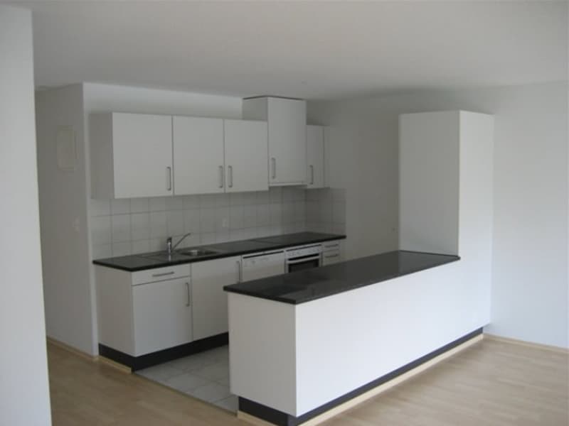 Helle 4.5-Zimmer-Wohnung (3)