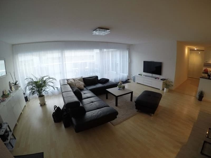 Moderne 3.5-Zimmer-Terrassenwohnung im 8. Stock mit herrlicher Aussicht in Winterthur (3)