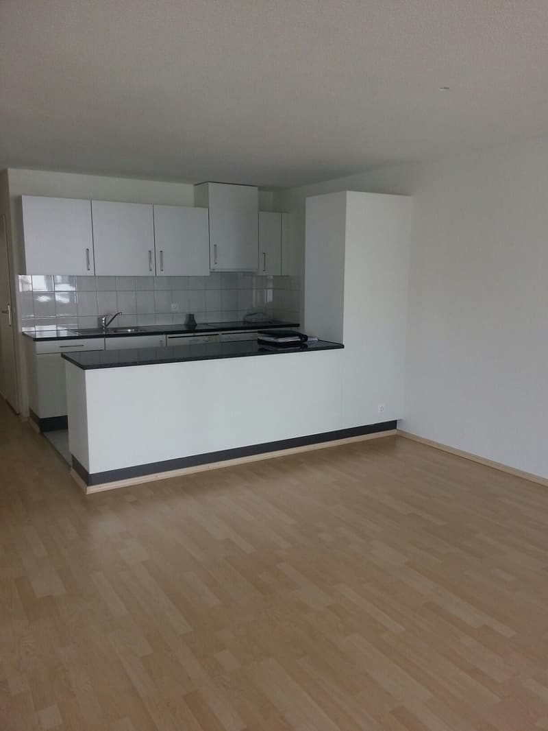 Nachmieter gesucht für zentrale 3.5-Zimmer-Wohnung (3)