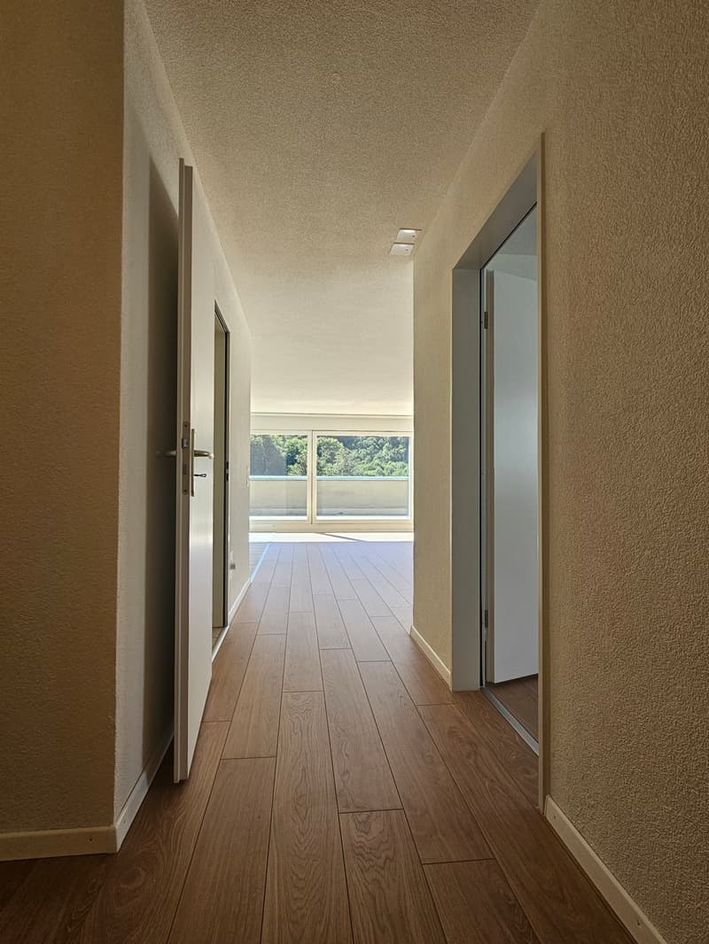 Moderne 2.5-Zimmer-Terrassenwohnung mit herrlicher Aussicht in Winterthur (3)