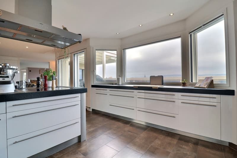 An exceptional attic with panoramic views (4)