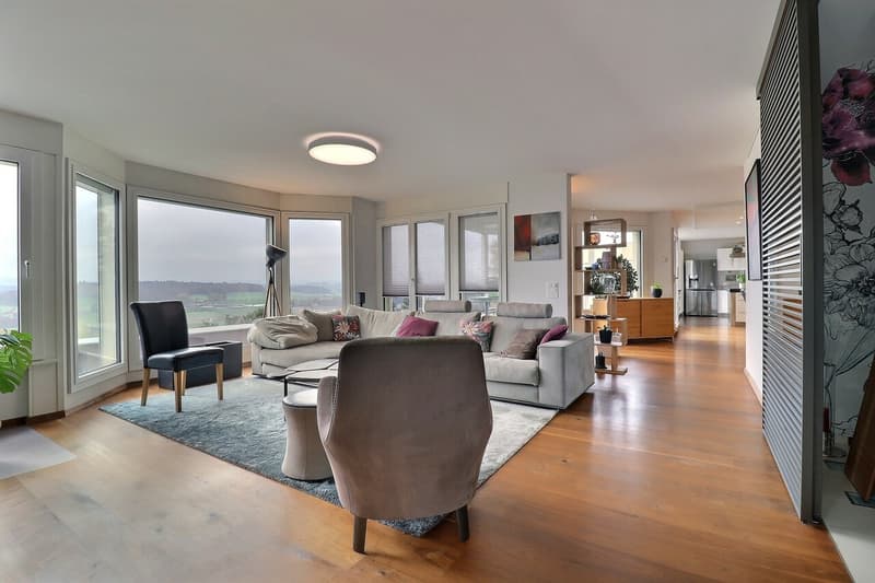 An exceptional attic with panoramic views (1)