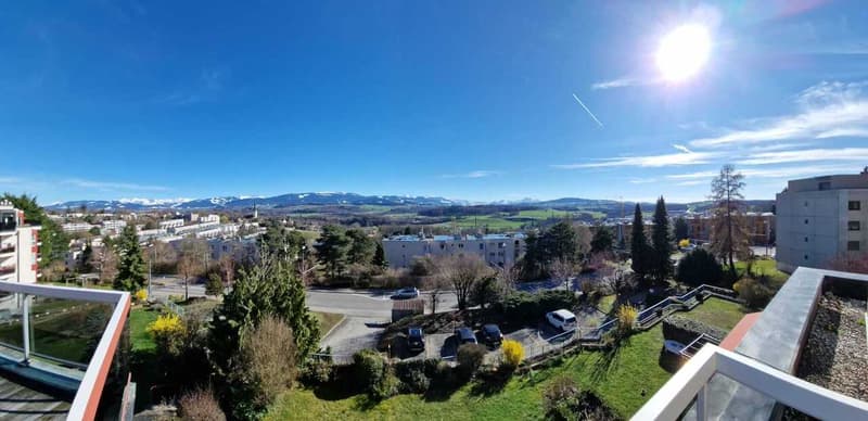 An exceptional attic with panoramic views (7)