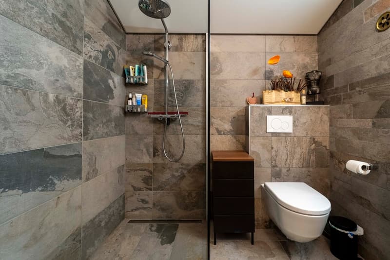 Appartement de standing rénové avec des matériaux de qualités (9)