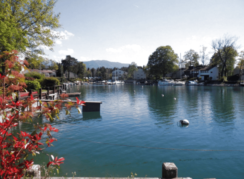 Renovated duplex on the top floor in Port Ripaille (5)
