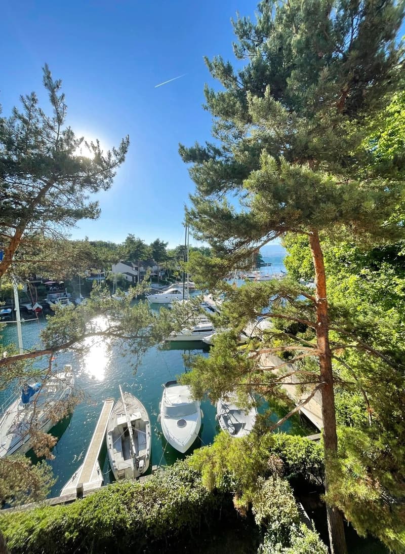 Renovated duplex on the top floor in Port Ripaille (1)