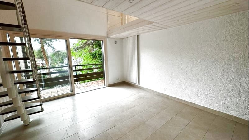 Renovated duplex on the top floor in Port Ripaille (8)