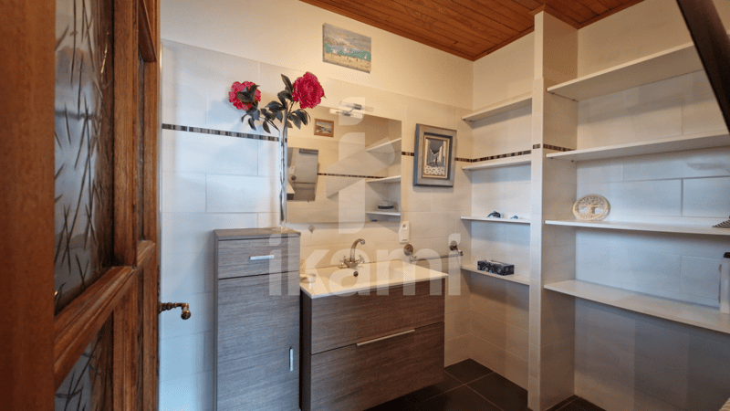 FAVERGES - Family house 284 m², including 195 m² living space, with 2,015 m² land (11)