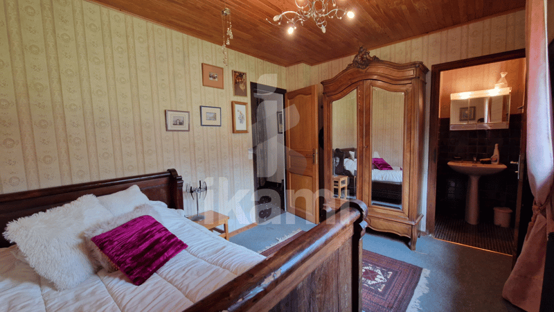FAVERGES - Family house 284 m², including 195 m² living space, with 2,015 m² land (13)
