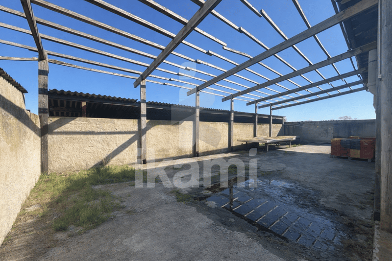HOUSE/FARM 15 HECTARES LENS LESTANG (13)