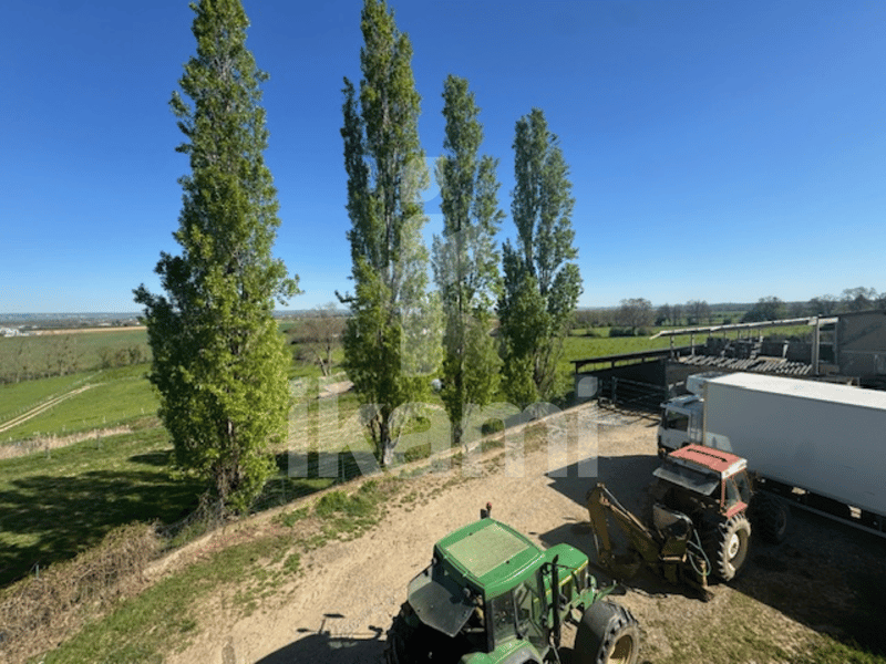 HOUSE/FARM 15 HECTARES LENS LESTANG (12)