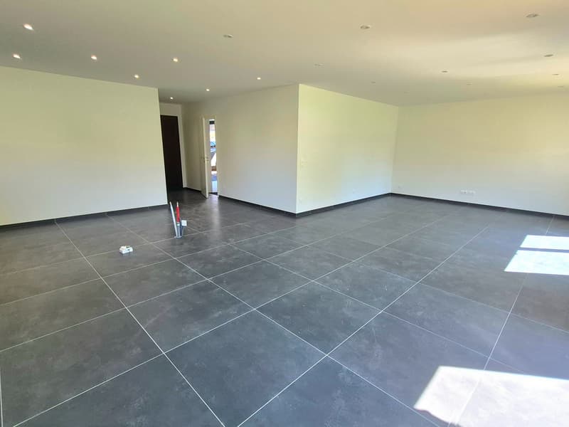 Magnificent 2-year-old villa - T4 of 130 m2 in Saint Cergues (7)