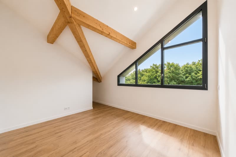 Exceptional attic with panoramic view of Lake Geneva (8)