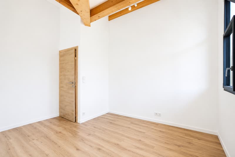 Exceptional attic with panoramic view of Lake Geneva (7)
