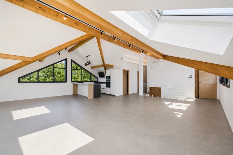 Exceptional attic with panoramic view of Lake Geneva (3)