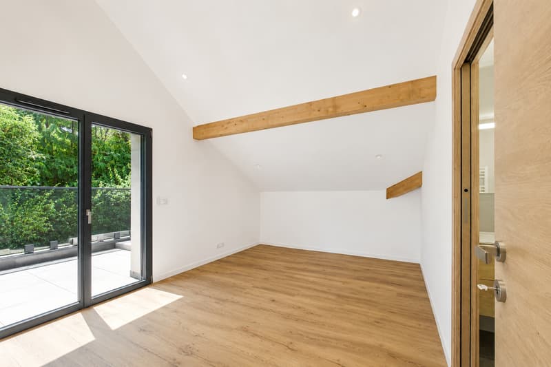 Exceptional attic with panoramic view of Lake Geneva (5)