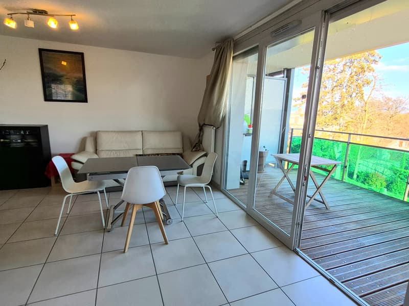 Beautiful T4 apartment with terrace and Mont-Blanc view, close to the border (2)