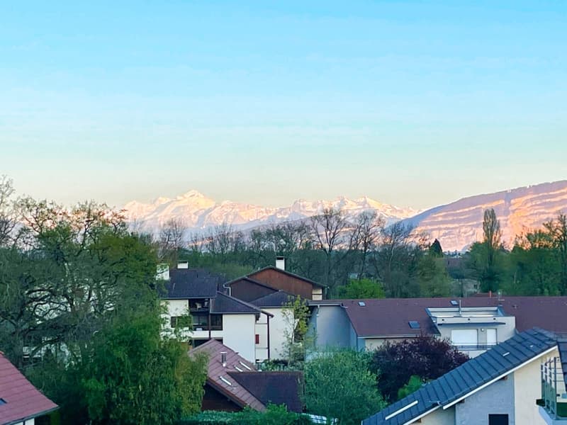 Beautiful T4 apartment with terrace and Mont-Blanc view, close to the border (4)