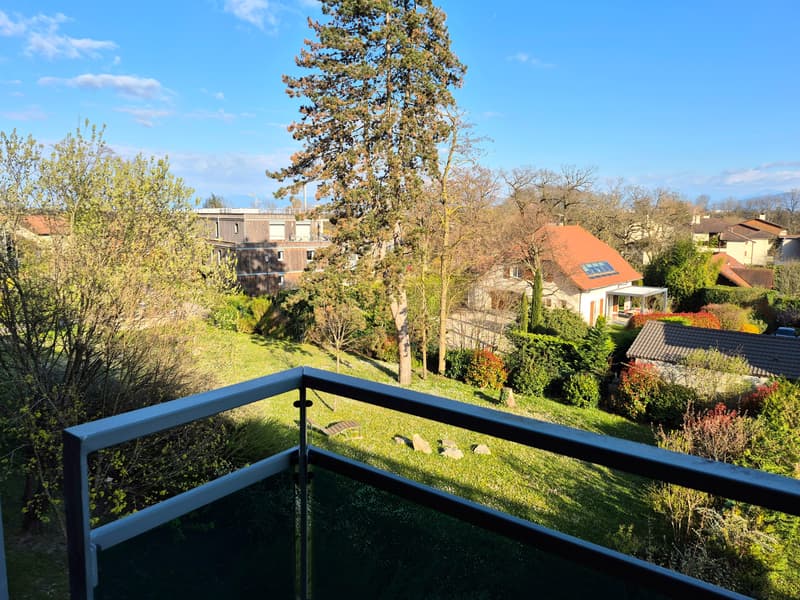 Beautiful T4 apartment with terrace and Mont-Blanc view, close to the border (11)