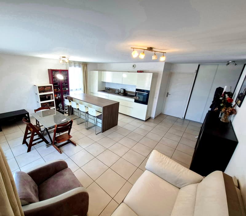 Beautiful T4 apartment with terrace and Mont-Blanc view, close to the border (13)