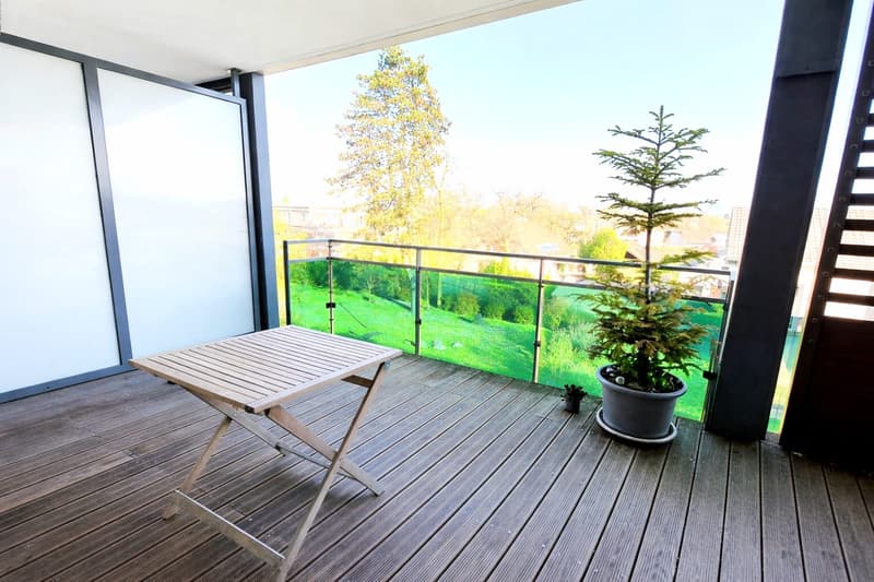 Beautiful T4 apartment with terrace and Mont-Blanc view, close to the border (5)