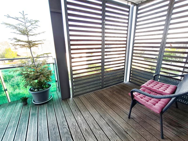 Beautiful T4 apartment with terrace and Mont-Blanc view, close to the border (9)
