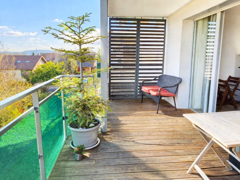 Beautiful T4 apartment with terrace and Mont-Blanc view, close to the border (1)