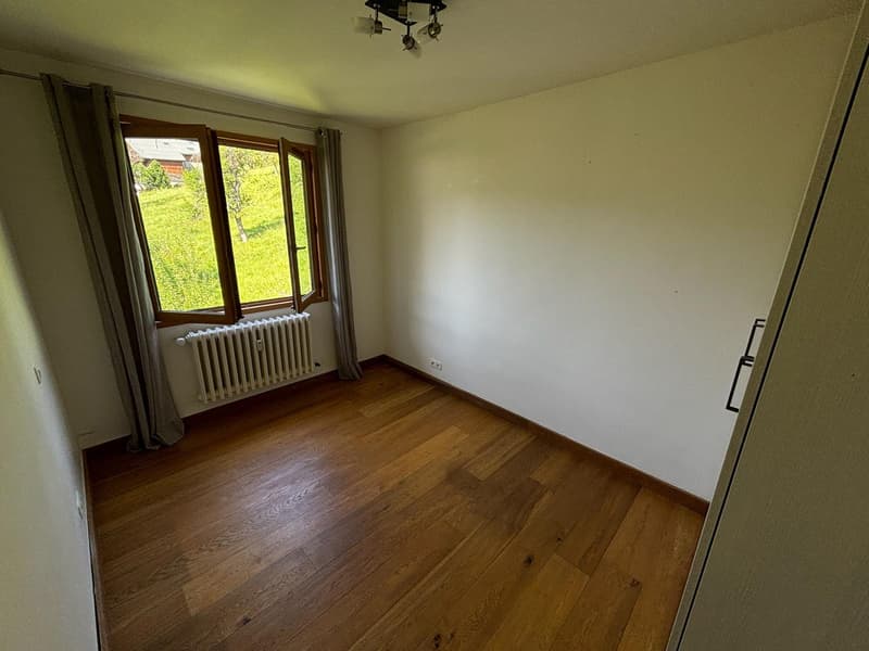 Magnificent apartment in Megève (10)