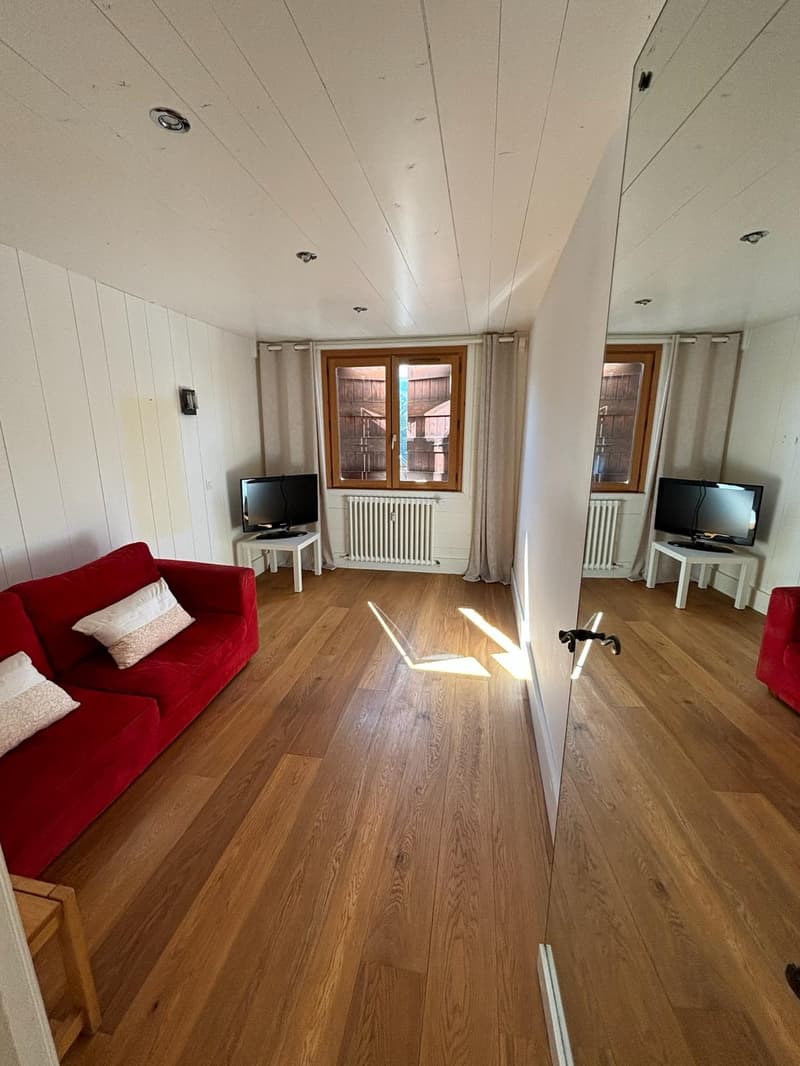 Magnificent apartment in Megève (12)