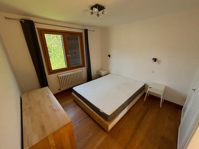 Magnificent apartment in Megève (5)