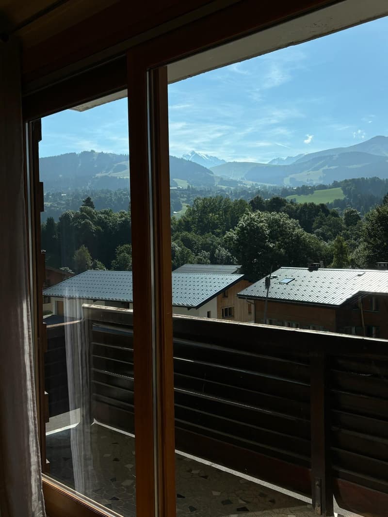 Magnificent apartment in Megève (2)