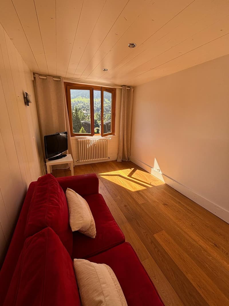 Magnificent apartment in Megève (13)