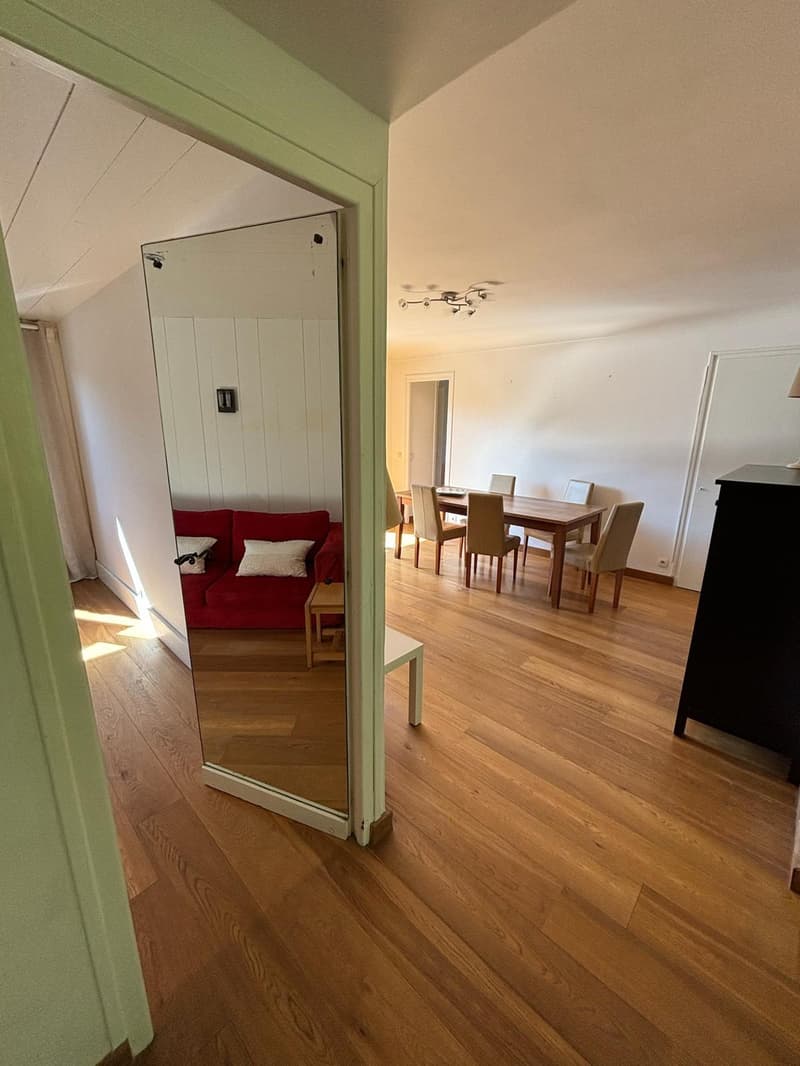Magnificent apartment in Megève (11)