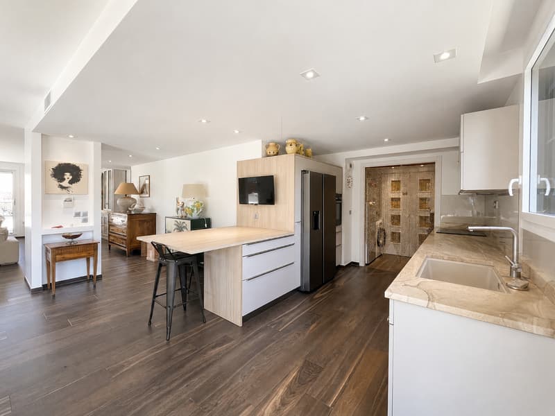 Annecy Triangle d'Or Exceptional attic and 141 m² terrace (7)