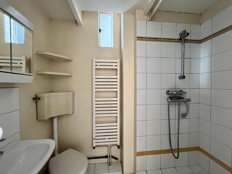 EXCLUSIVITY - T2 of 59.13m2 (Carrez law) - 3rd floor (9)