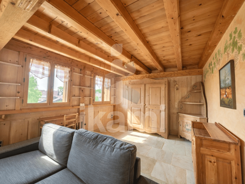 Exceptional house at the foot of Salève, Geneva gates (13)