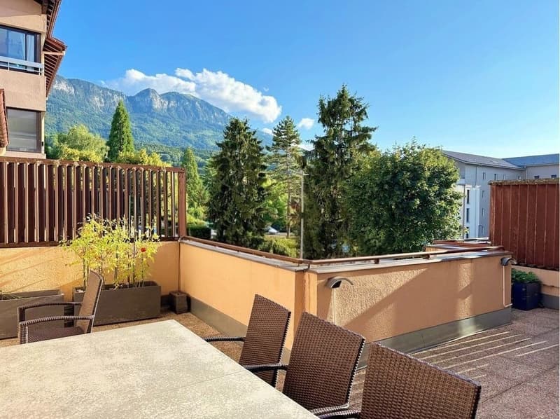 Superbe T4 rénové de 97 m2 avec grande terrasse (1)