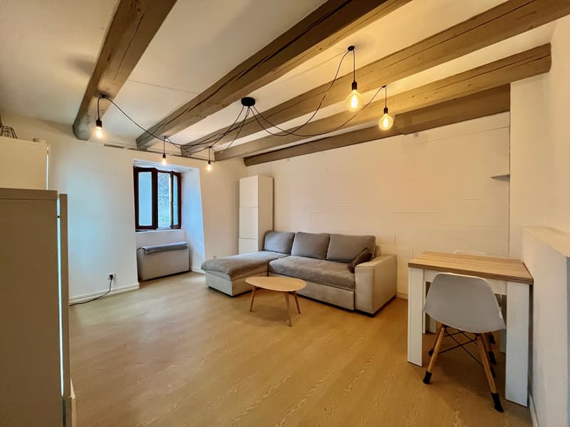 T3 duplex of 60.39 m2 (2)
