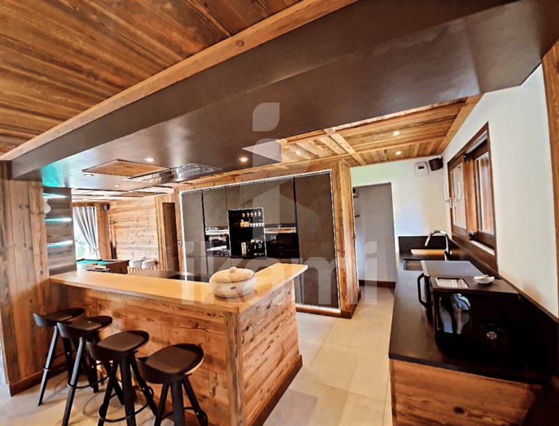 Chalet d'exception skis aux pieds, Le Corbier, domaine des Sybelles (2)