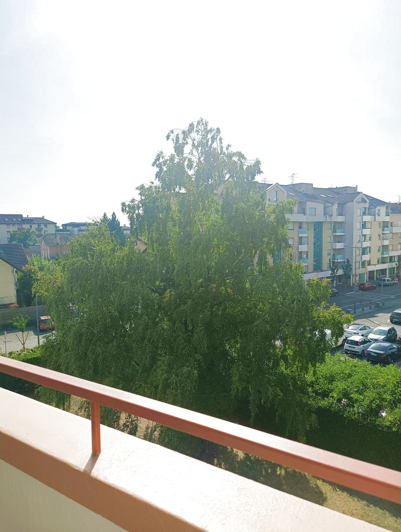 Moëllesulaz Appartement T2 rénové 50 m² avec balcons et parking (3)