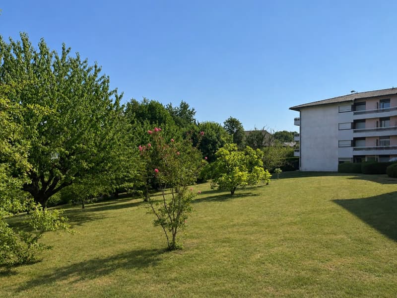 Grand T3 traversant de 79,39 m2 (loi Carrez) avec vue ! (2)