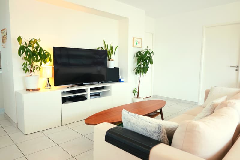 Attique T4 d'exception   Vue panoramique montagnes 92 m² terrasse de 80 m² (6)