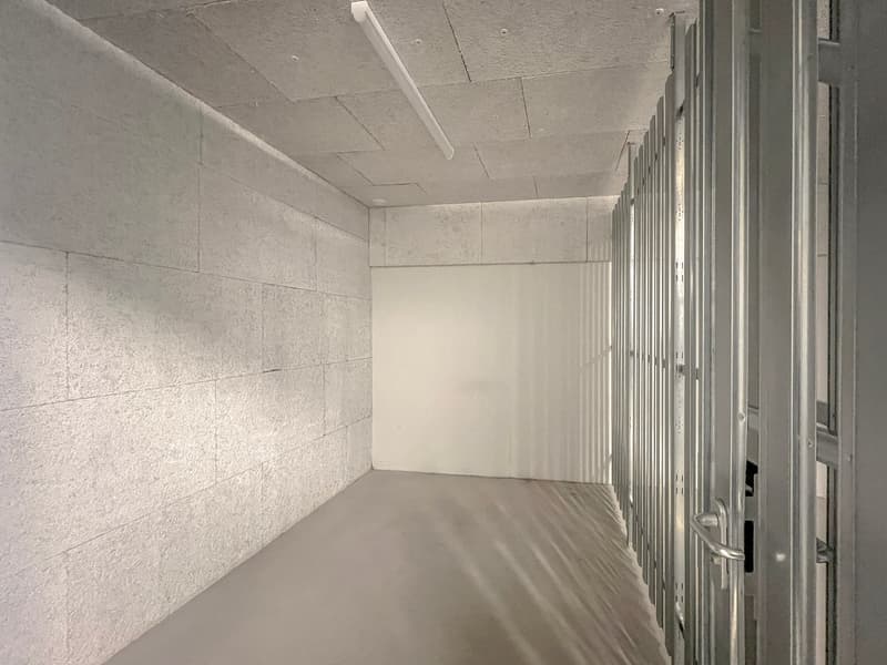 Spaziosa mansarda con ascensore direttamente nell'appartamento – nuovo edificio ad Aesch ZH (17)