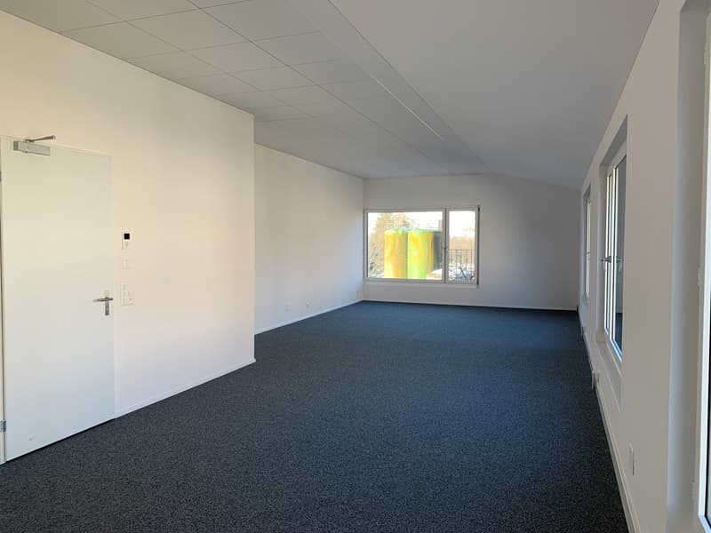 Modern commercial units with versatile potential in the Greater Zurich Area (9)