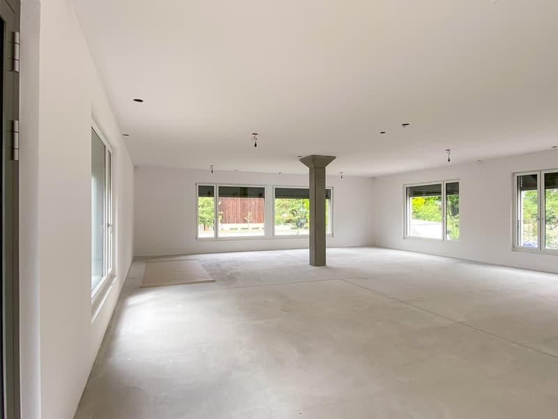 Modern commercial units with versatile potential in the Greater Zurich Area (7)