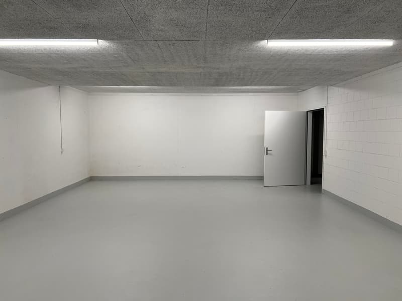 Modern commercial units with versatile potential in the Greater Zurich Area (13)