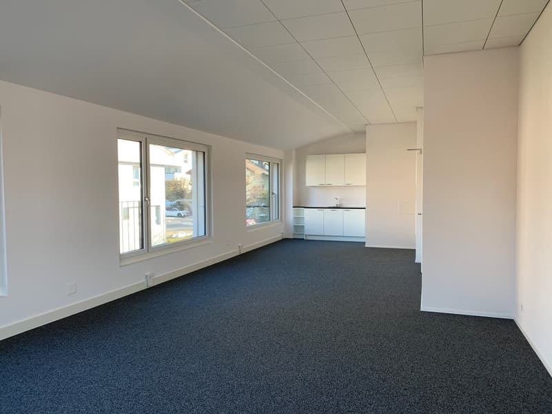 Modern commercial units with versatile potential in the Greater Zurich Area (8)